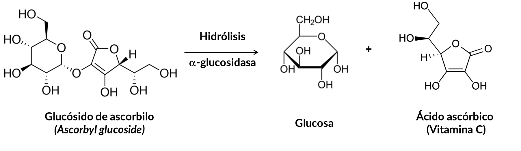 sintesis-vitamina-c-glucosido-ascorbilo